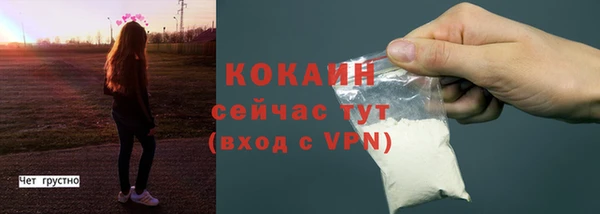 PSILOCYBIN Коряжма