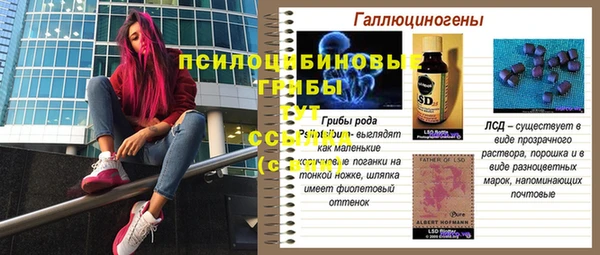 гидропоника Костерёво