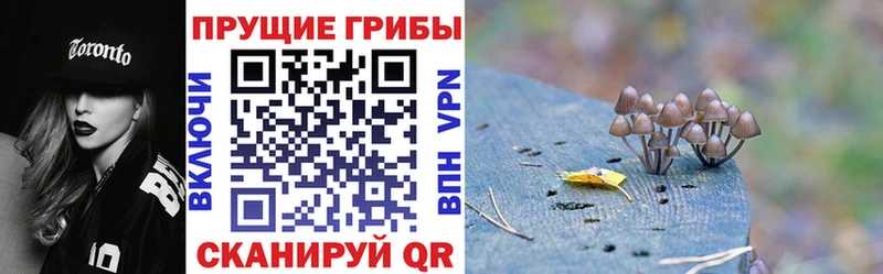 Псилоцибиновые грибы мицелий  Купить где  Ханты-Мансийск 